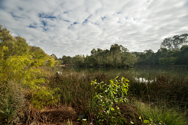 Laratinga Wetlands Today Laratinga Wetlands Today
