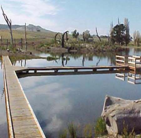 Laratinga Wetlands Construction Boardwalk