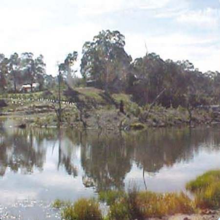 Laratinga Wetlands Construction Early Plantings