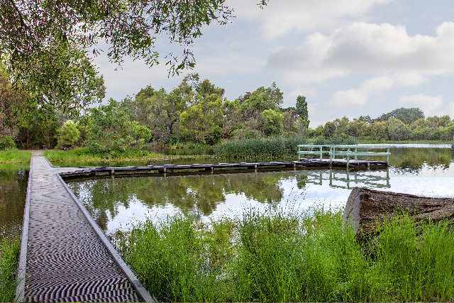 Laratinga Wetlands today boardwalk Laratinga Wetlands today boardwalk