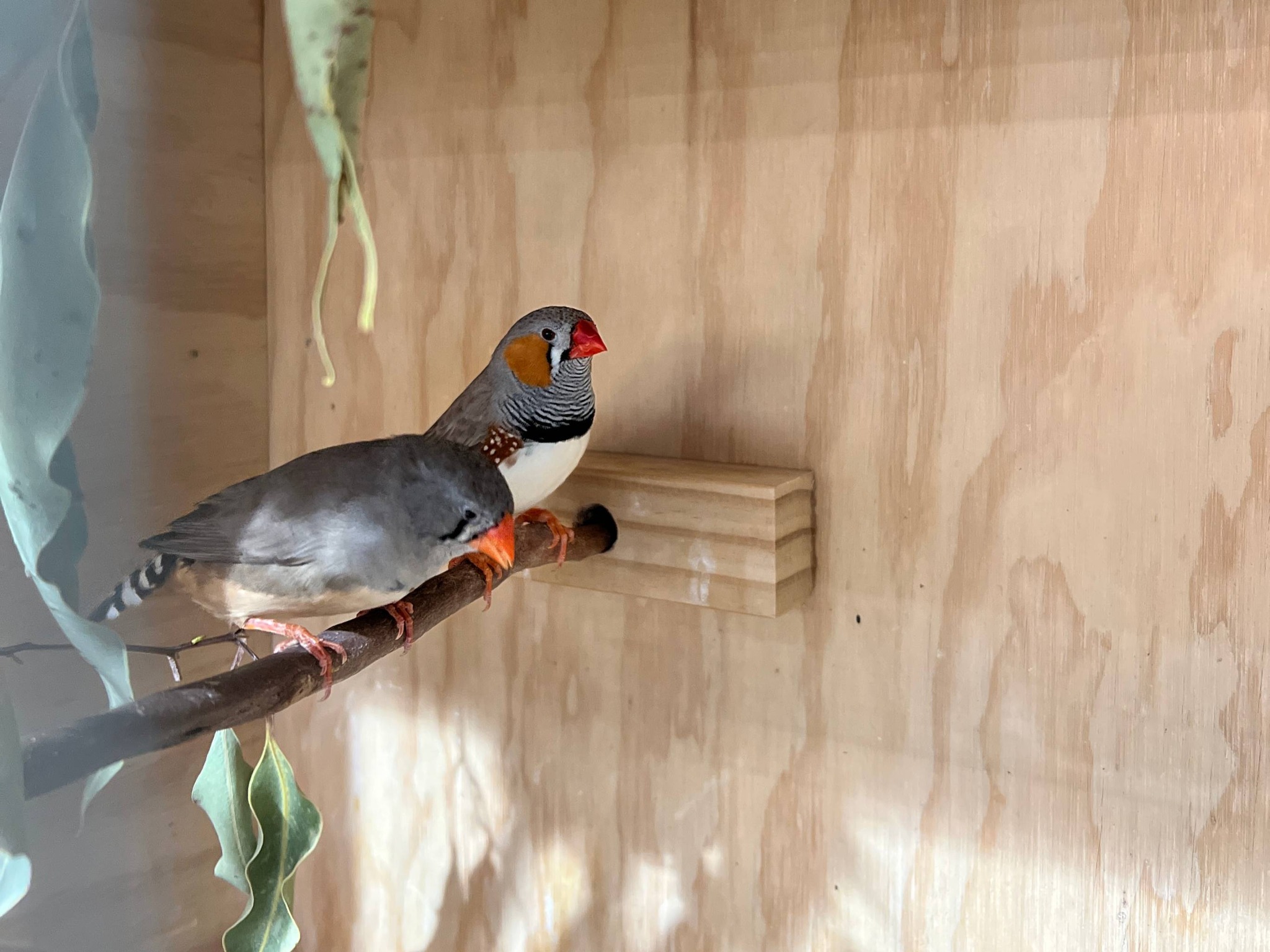 Nature Education Centre 3