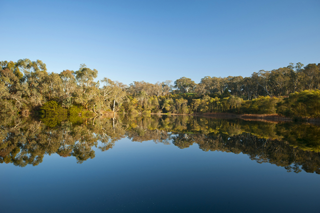 Laratinga Wetlands Today Laratinga Wetlands Today