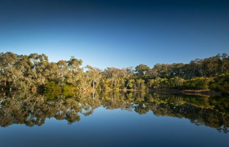 Wetlands