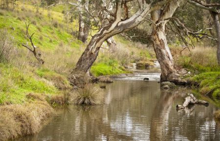Creek