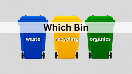 Which bin