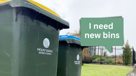 waste and recycling bin
