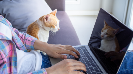 card listing cat and laptop
