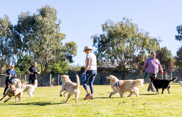 Woofside Road Dog Park 700x450px