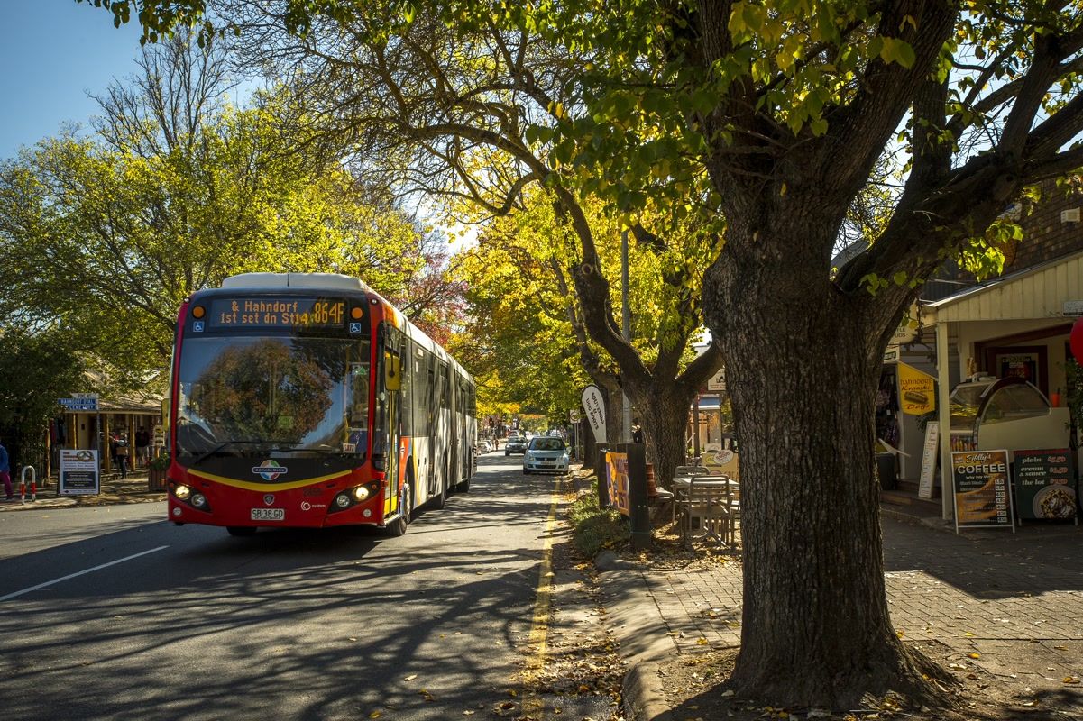 Hahndorf bus
